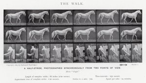 エドワード・マイブリッジザ・ウォーク」（モノクロ写真 作： Eadweard Muybridge
