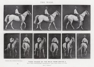 エドワード・マイブリッジザ・ウォーク」（モノクロ写真 作： Eadweard Muybridge