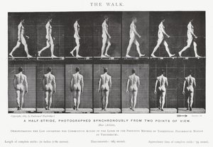エドワード・マイブリッジザ・ウォーク」（モノクロ写真 作： Eadweard Muybridge