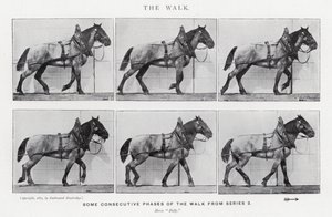 エドワード・マイブリッジザ・ウォーク」（モノクロ写真 作： Eadweard Muybridge