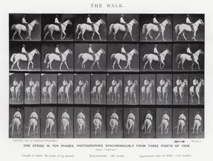 エドワード・マイブリッジザ・ウォーク」（モノクロ写真 作： Eadweard Muybridge