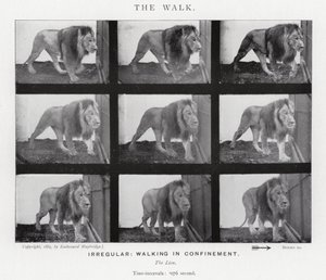 エドワード・マイブリッジザ・ウォーク」（モノクロ写真 作： Eadweard Muybridge