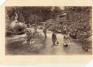 中米太平洋岸とメキシコ、パナマ地峡、グアテマラ、そしてコーヒーの栽培と出荷から、サン・イシドロのコーヒー摘み職人たちの夕べのレクリエーション 作： Eadweard Muybridge