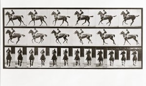 馬とライダー、動物の移動からのプレート621、1887
