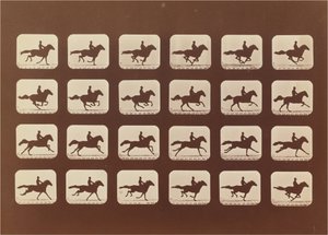 馬。 ランニング。 Phyrne L. No. 40 作： Eadweard Muybridge