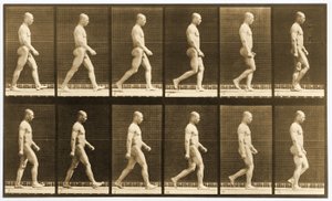 歩く裸の男性のイメージ・シーケンス、「Animal Locomotion」シリーズ、1881年頃（モノクロ写真 作： Eadweard Muybridge