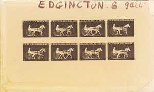 馬のインターネガティブ。 速歩。 エイブ・エジントン。 28号 作： Eadweard Muybridge