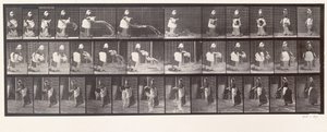 水のバケツを投げるメイド、「動物の移動」からのプレート404、1887 作： Eadweard Muybridge