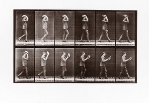 1887年、アニマルロコモーションの男44 作： Eadweard Muybridge