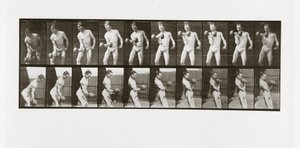 ダンベルを持ち上げる男、1887年、Animal Locomotionのプレート324 作： Eadweard Muybridge