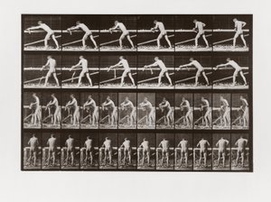 木を削る男、動物の移動からのプレート379、1887 作： Eadweard Muybridge