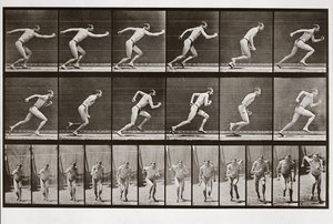 走っている男、アニマルロコモーションのプレート59、1887 作： Eadweard Muybridge