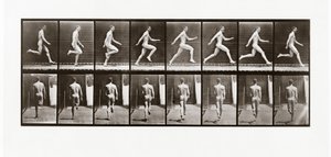 走っている男、アニマルロコモーションのプレート65、1887 作： Eadweard Muybridge