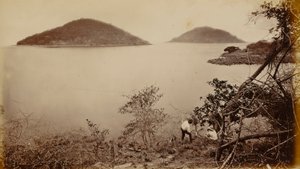 ペリーコとフラメンコ - パナマ、ナオス島より 作： Eadweard Muybridge