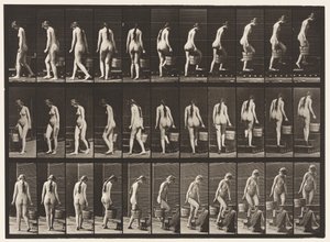 プレート102.回転階段と上り階段、RTハンドのバケットウォーター、1872〜1885