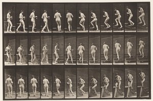 プレート103.ターンとアセンディングの階段、ピッチャーとゴブレットの手、1872-1885 作： Eadweard Muybridge