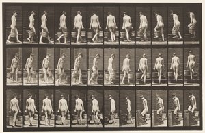 プレート104.回転階段と上り階段、両手にバケットウォーター、1872〜1885 作： Eadweard Muybridge