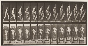 プレート109。上行脚立、1872〜1885 作： Eadweard Muybridge