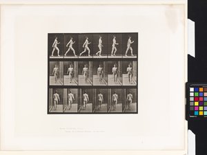 プレート10.ウォーキング 作： Eadweard Muybridge
