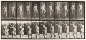 プレート111上昇する梯子 作： Eadweard Muybridge