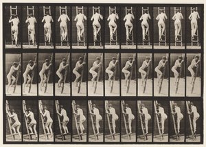 プレート112。昇順はしご 作： Eadweard Muybridge