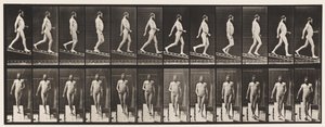 プレート113。降順インクライン、4分の1、1872〜1885 作： Eadweard Muybridge