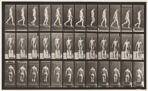 プレート114。降順傾斜、角度1、4、1872〜1885