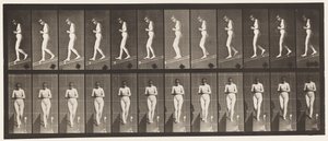 プレート115。前に手を握りしめた下降傾斜 作： Eadweard Muybridge
