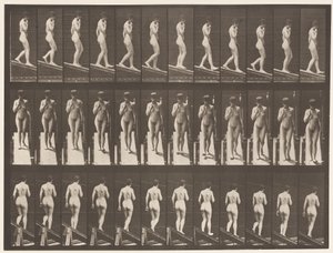 プレート116あごに片手を添えて傾斜を降りる 作： Eadweard Muybridge