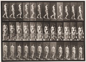 プレート117。降順インクライン、1872〜1885 作： Eadweard Muybridge