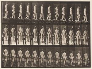 プレート122。降順傾斜、両手のバケット、1872〜1885 作： Eadweard Muybridge