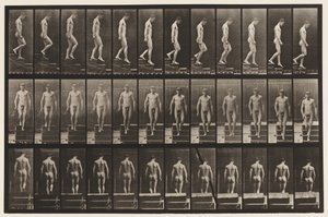 プレート125。下り階段 作： Eadweard Muybridge