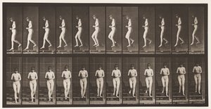 プレート128。降順階段、握り手、1872-1885 作： Eadweard Muybridge