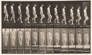 プレート129。下り階段、握りしめられた手 作： Eadweard Muybridge