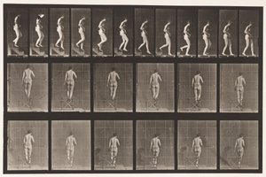 プレート130。降順の階段、握り手、1872-1885 作： Eadweard Muybridge