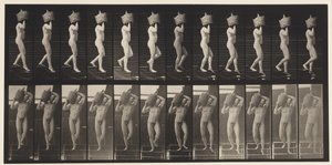 プレート136。1872〜1885年の肩の降順階段フルDemijohn 作： Eadweard Muybridge