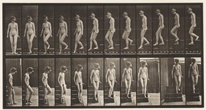 プレート137。下り階段、向きを変える 作： Eadweard Muybridge