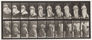 プレート142.降順階段、巻き返しドレスキャッチ、1885
