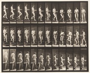 プレート144階段を降りるとき、手に持った洗面器を回す 作： Eadweard Muybridge