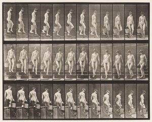 プレート145。降順階段。右手でバケツの水を回す、1872〜1885 作： Eadweard Muybridge