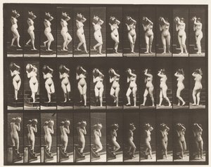 プレート147。降順階段。右肩の水瓶を回す、1872〜1885 作： Eadweard Muybridge