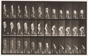 プレート149。降順階段。投手を持ち上げるためにかがむ、1872-1885 作： Eadweard Muybridge