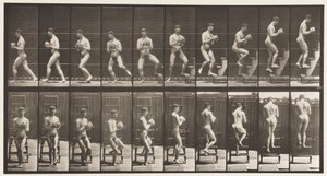 プレート151。降順ステップラダー、方向転換、ロックインハンズ、1872〜1885 作： Eadweard Muybridge