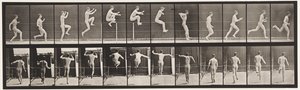 プレート154。ジャンプ。まっすぐ走る、高いジャンプ 作： Eadweard Muybridge