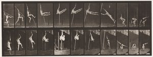 プレート164。ジャンプ。棒高跳び、1872-1885 作： Eadweard Muybridge