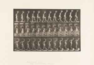 プレート179。岩の上を踏む、頭の上のバスケット 作： Eadweard Muybridge