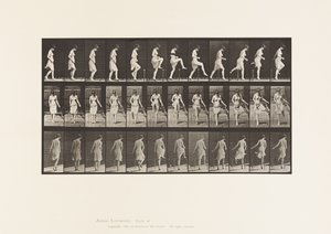 プレート181。柵をまたぐ 作： Eadweard Muybridge