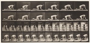 プレート182手と膝を使ったクロール 作： Eadweard Muybridge
