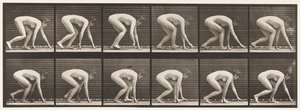 プレート183手と足で歩く 作： Eadweard Muybridge
