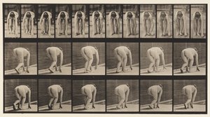 プレート184。手と足で歩く 作： Eadweard Muybridge